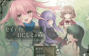 【日系RPG/AI汉化】希蒂与远古之森2.0.5【PC/1.7G】